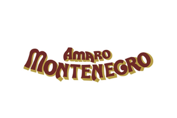 immagine logo montenegro