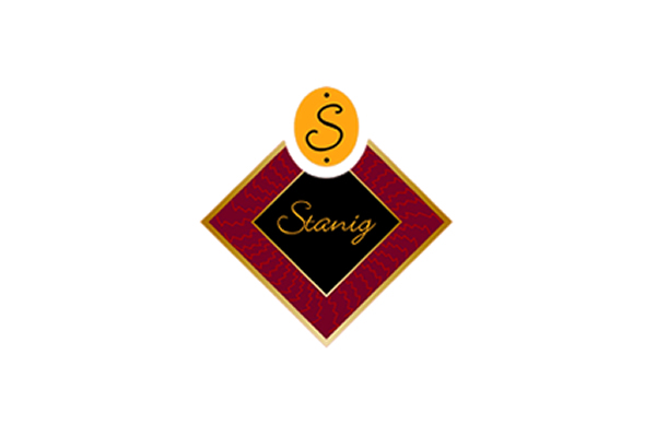 immagine logo stanig
